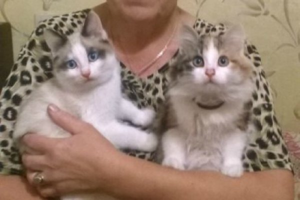Кракен не заходит