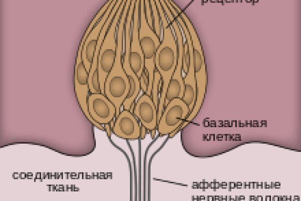 Заказать даркнет