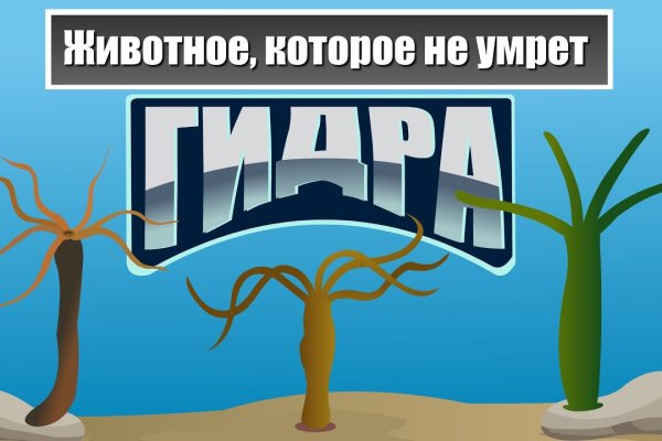 Кракен даркен