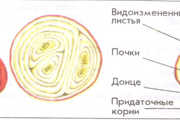 Кракен даркнет зеркало пв